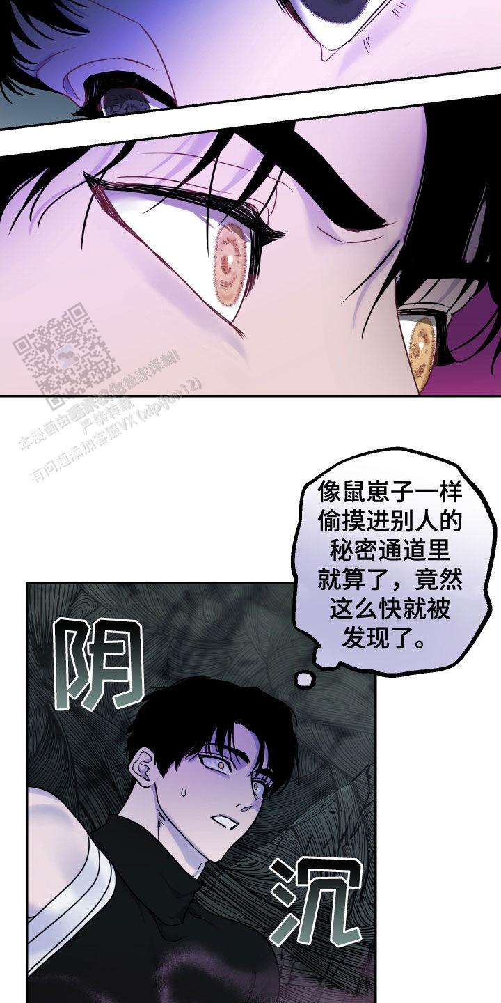 生命之花的图片漫画,第29话1图