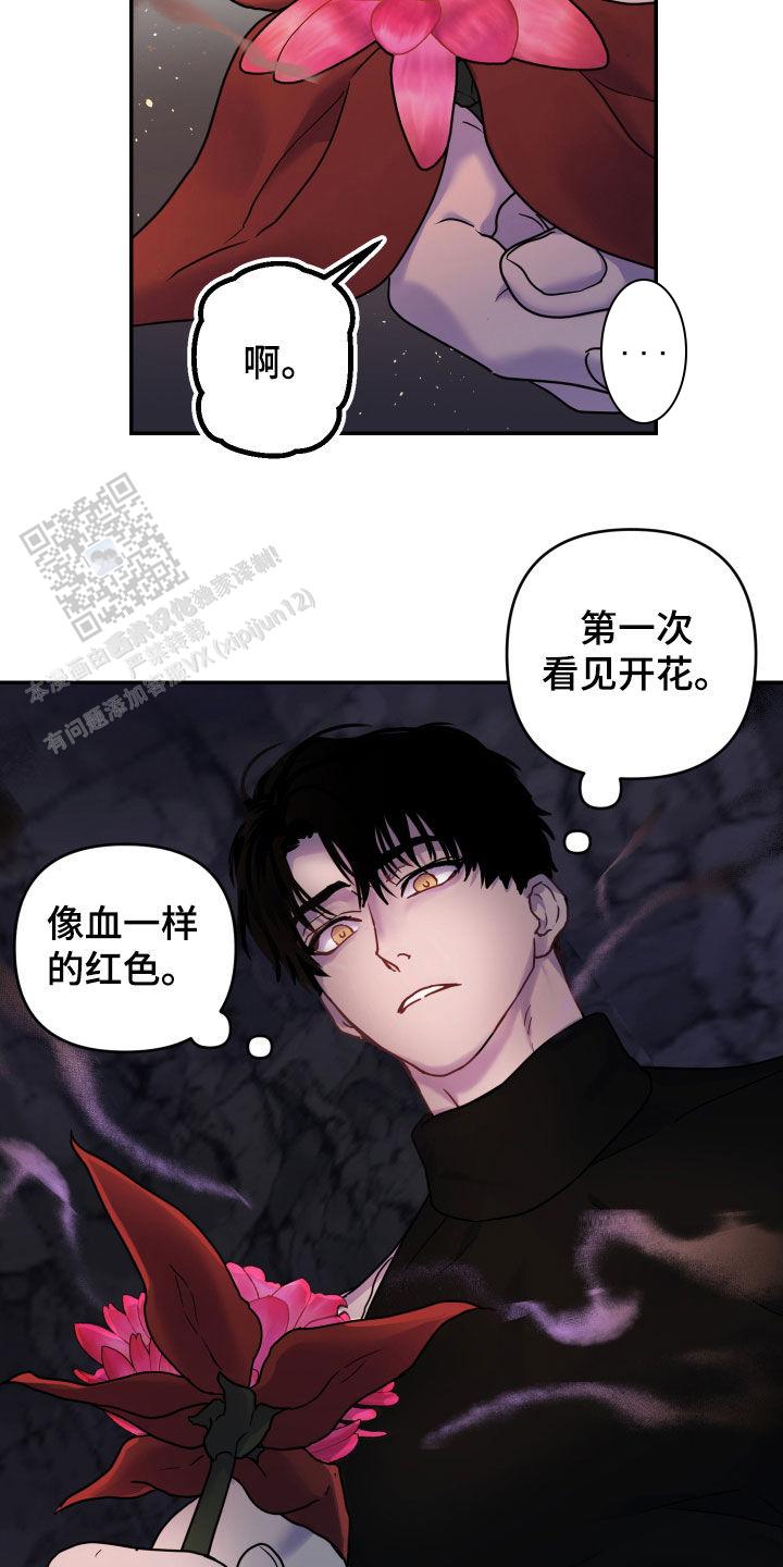 生命之花的图片漫画,第29话2图