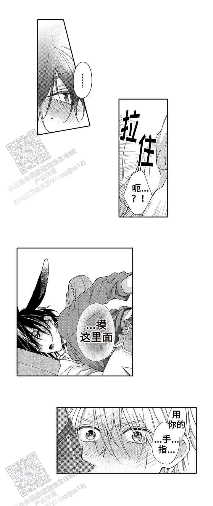 孤单的兔子漫画免费漫画,第4话2图