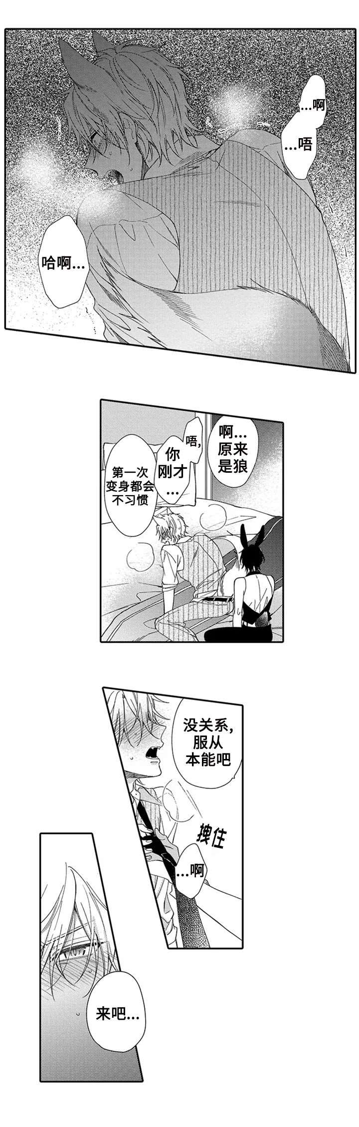 孤单的兔子漫画免费漫画,第2话2图