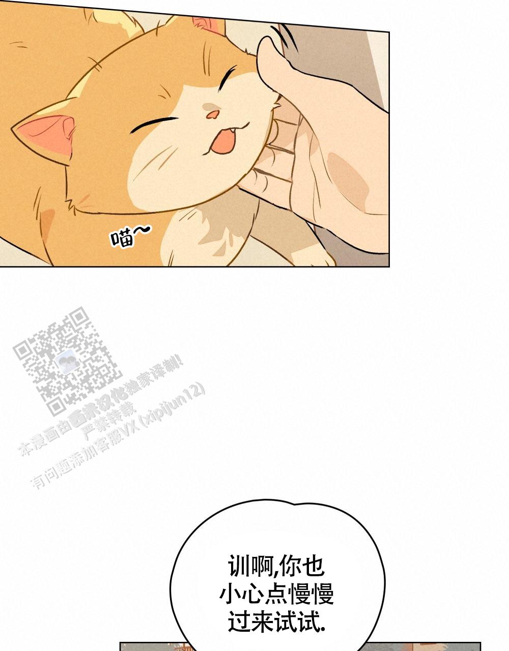 告白倒计时舒蜜全文免费阅读漫画,第13话1图