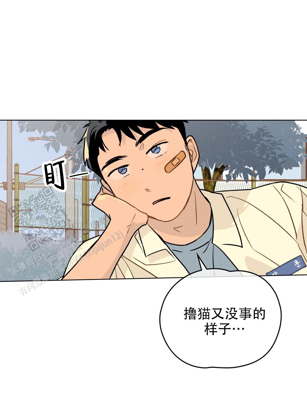 告白倒计时小说裴绪漫画,第4话2图