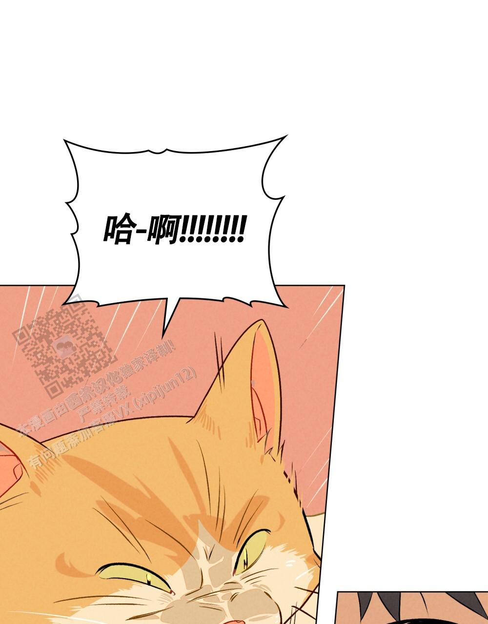 告白倒计时舒蜜全文免费阅读漫画,第13话1图