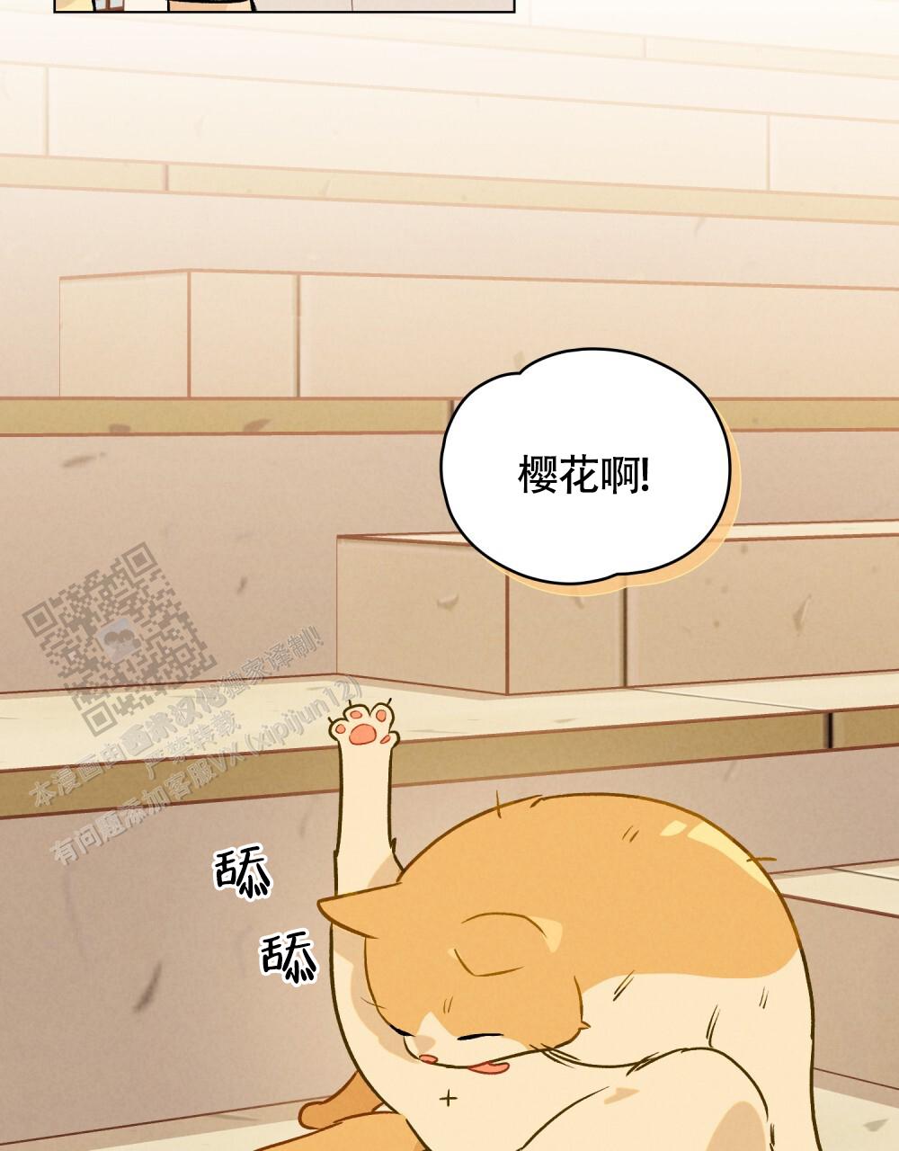 告白倒计时舒蜜全文免费阅读漫画,第13话1图