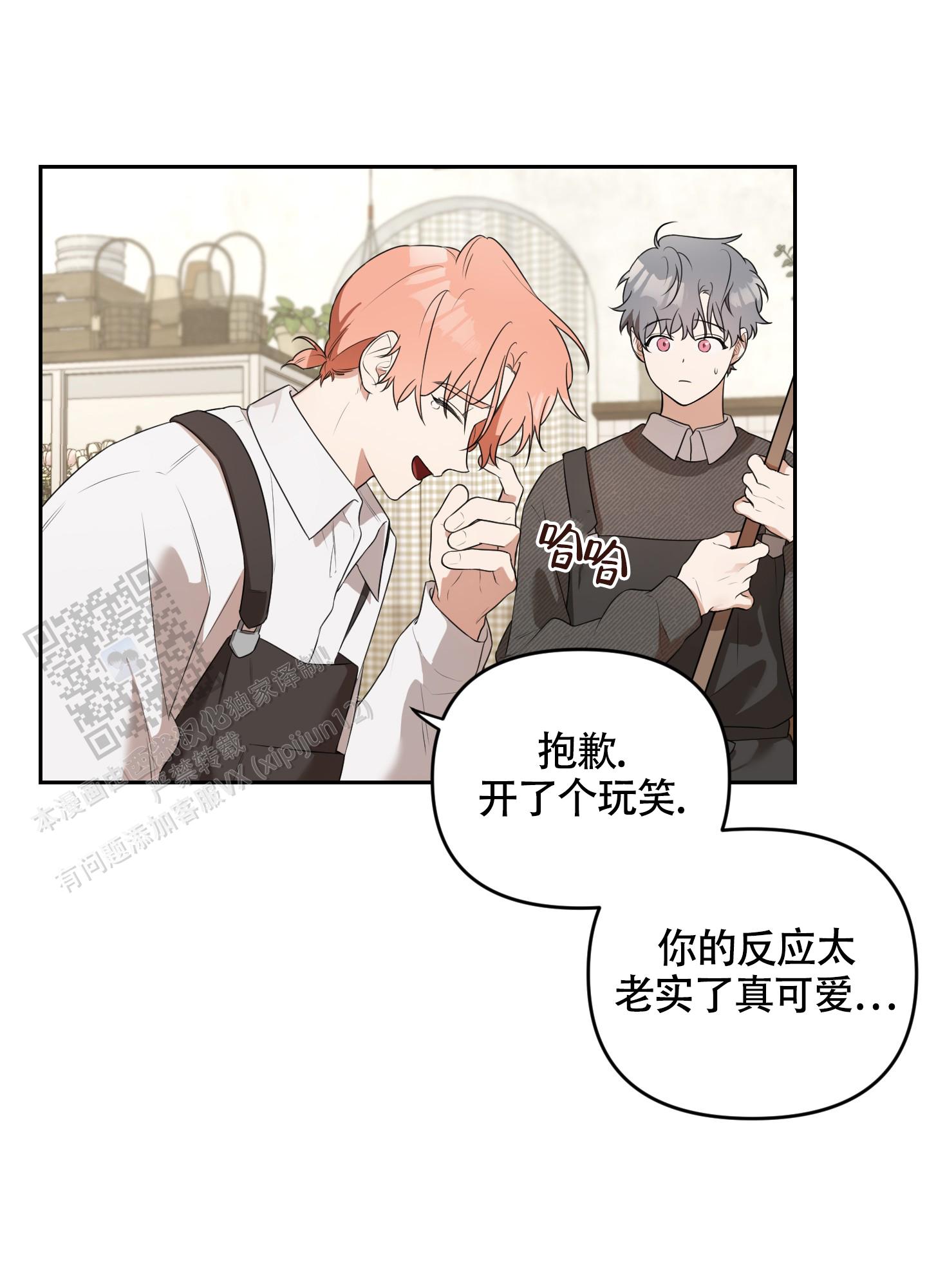 庭院花园石头摆放位置漫画,第5话1图