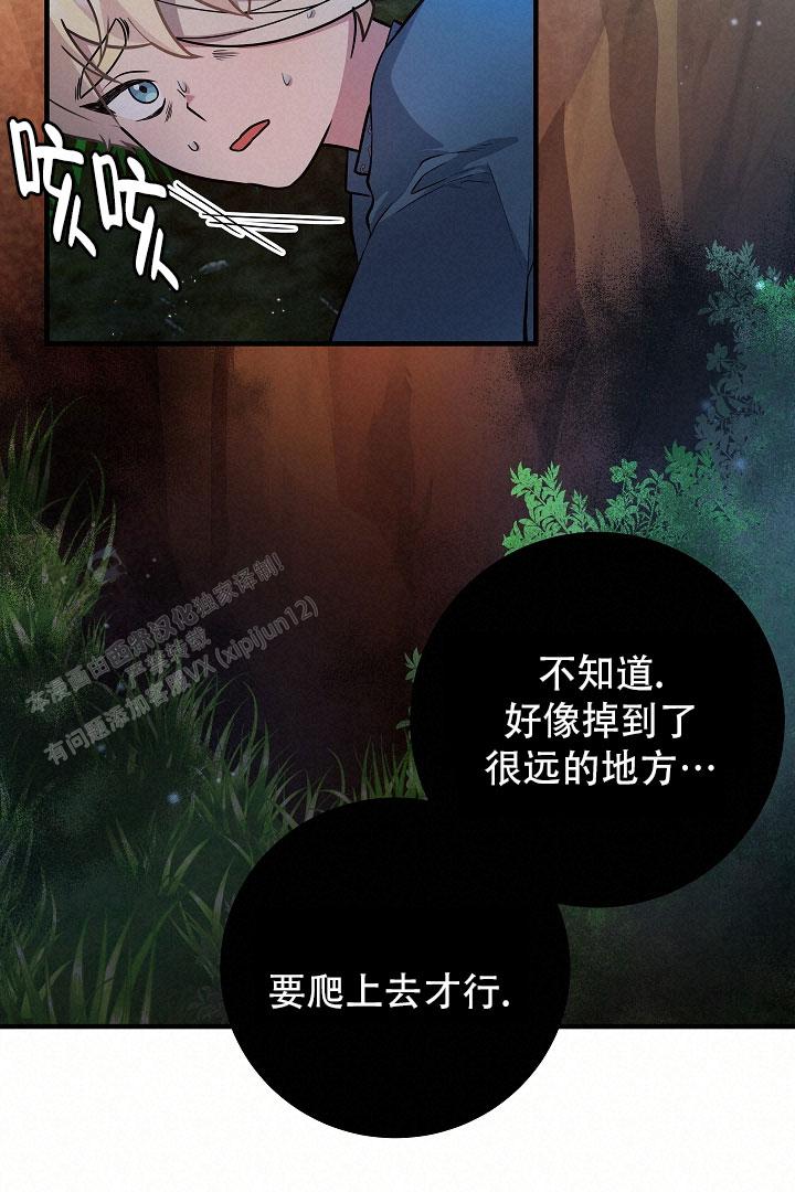 怪物猎人4g漫画,第17话1图