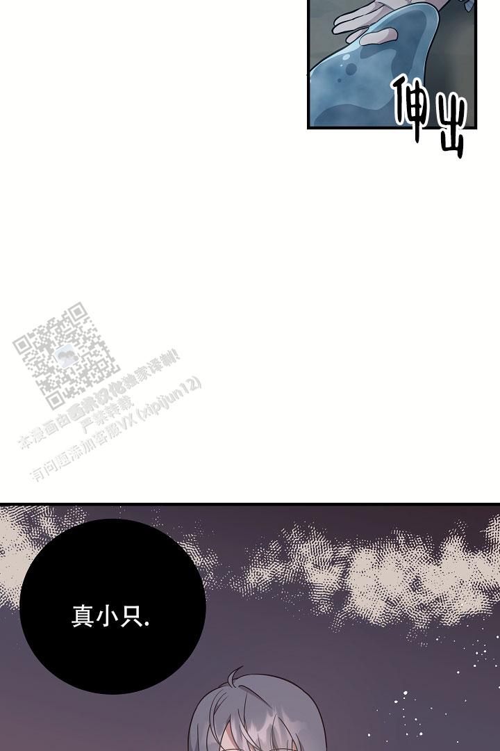 怪物猎人XX关键任务表漫画,第5话1图