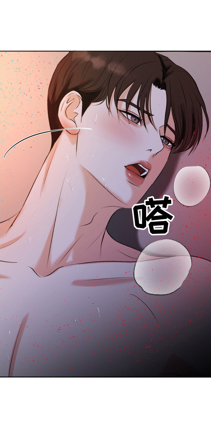 结束我的罪孽小说漫画,第19话2图