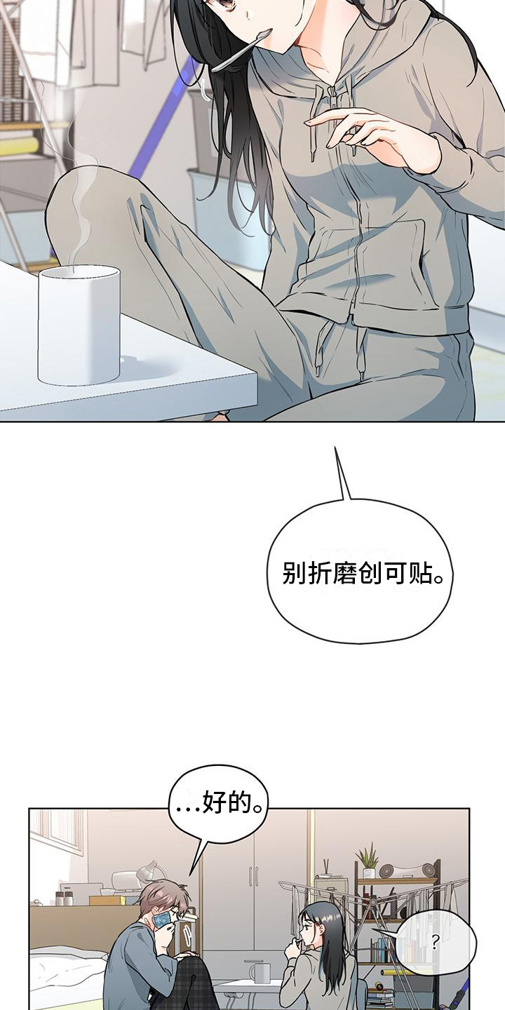 三花和美短漫画,第11话1图