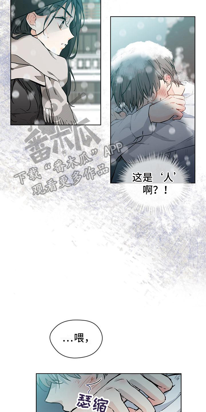 三花和老鼠漫画,第4话2图