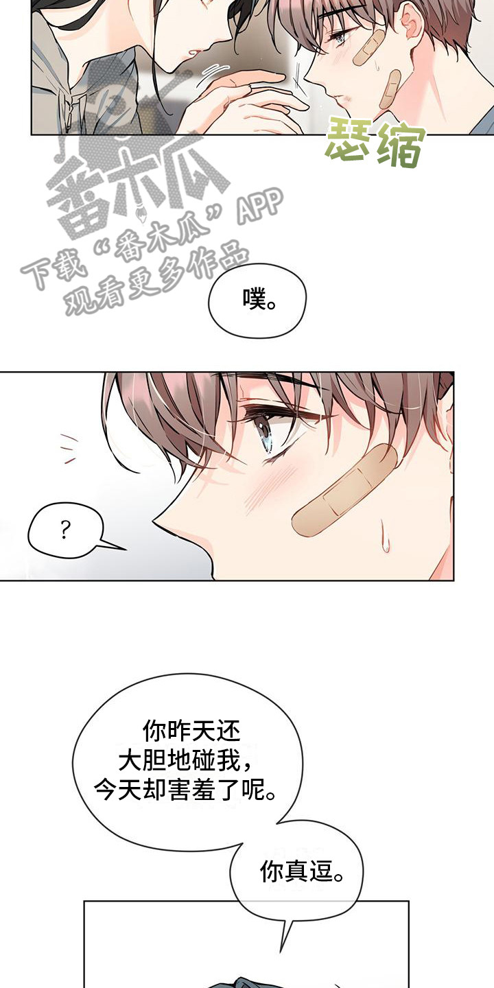 三花和玳瑁的区别图片漫画,第15话2图