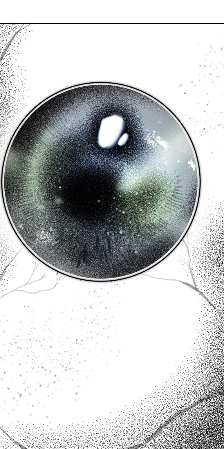 绿色世界小说漫画,第10话1图
