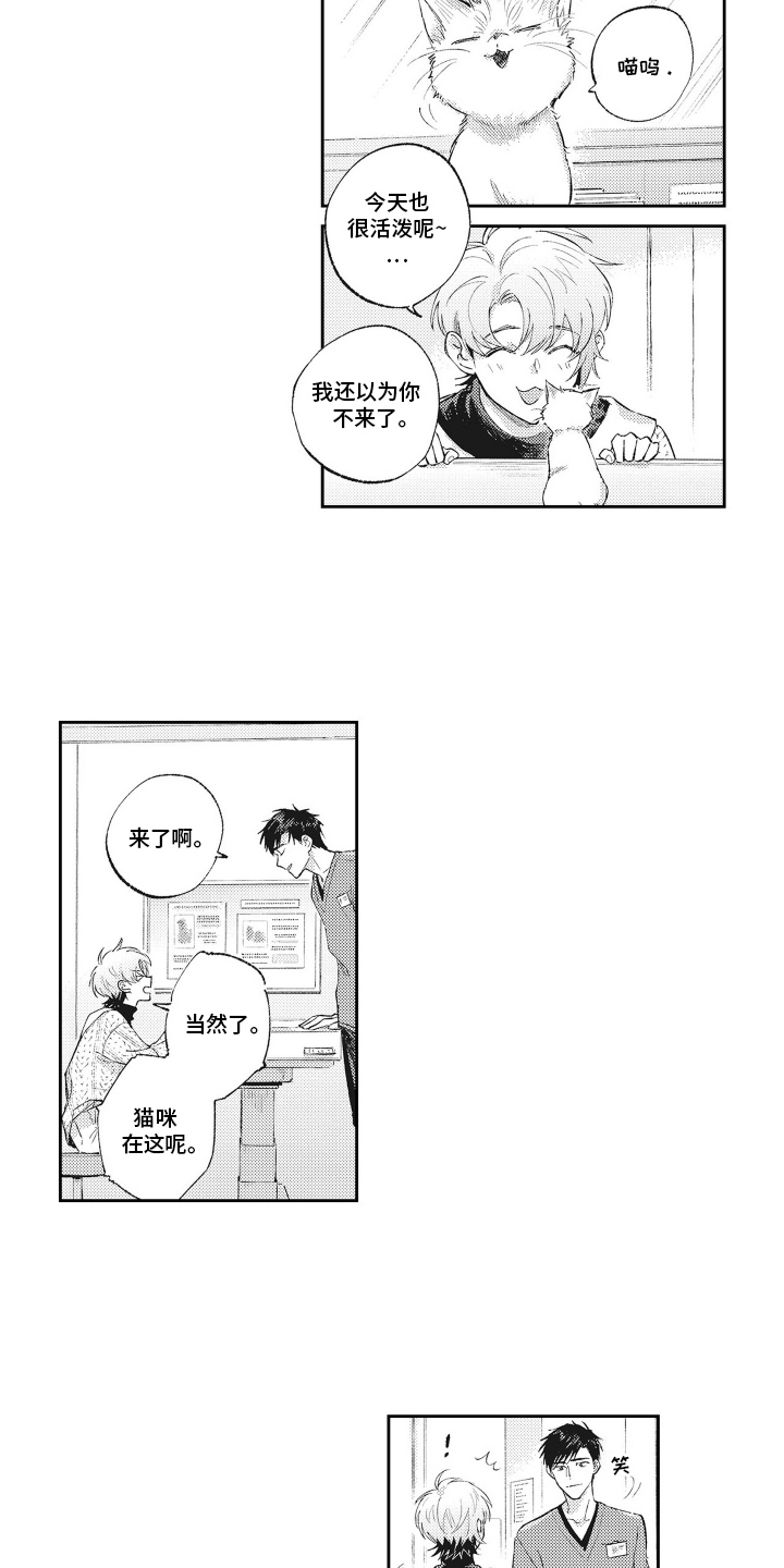 只属于我的猫漫画下拉式漫画,第6话2图