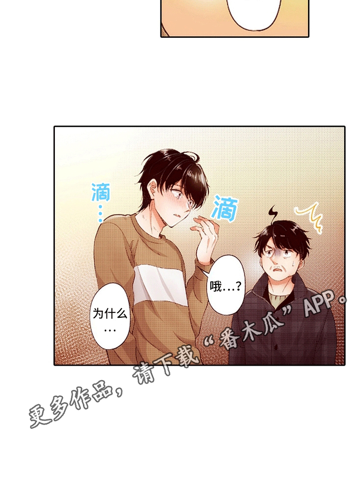 甜蜜夹心饼双胞胎西洛琦漫画,第19话1图