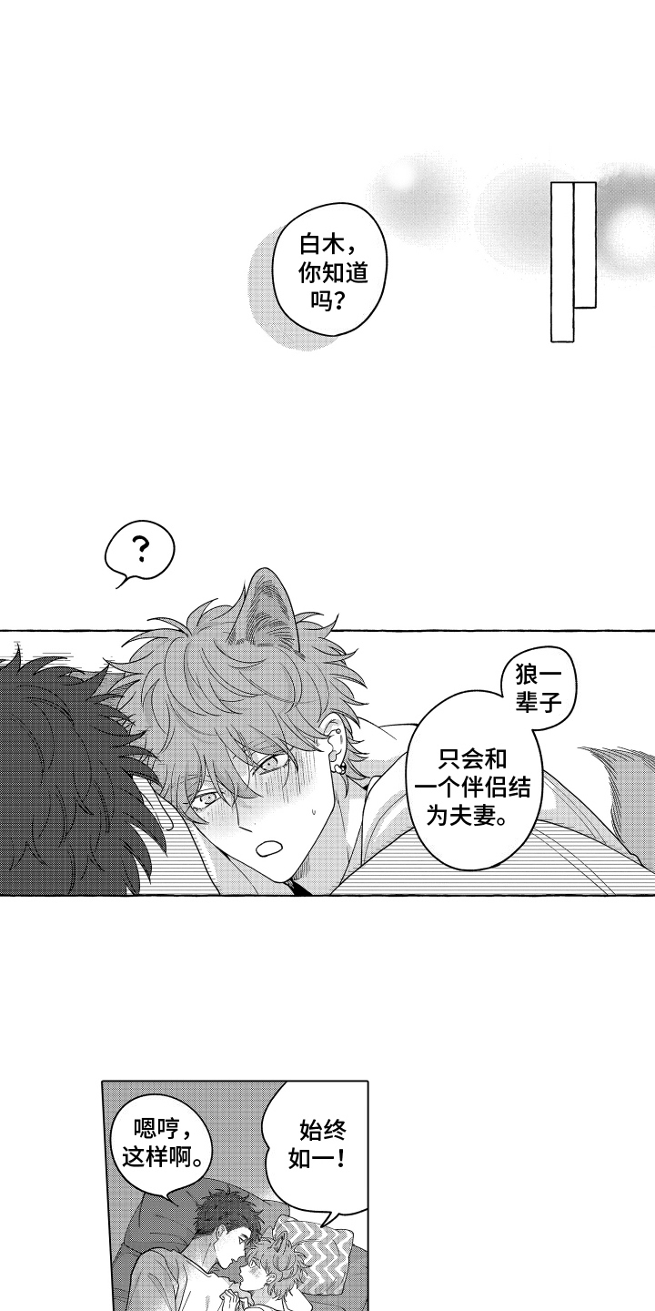 笨狼的故事--在鹳鸟家住三天漫画,第30话2图