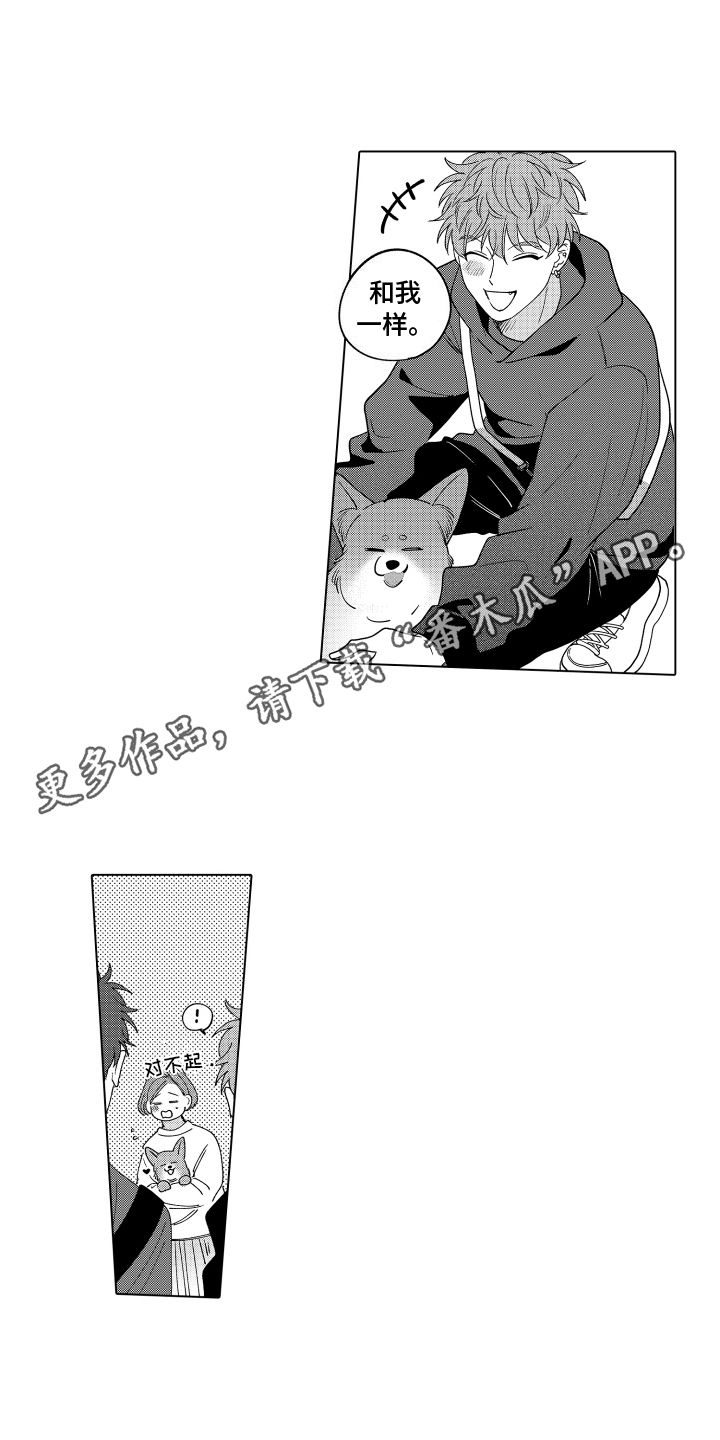 笨狼的故事--在鹳鸟家住三天漫画,第18话1图
