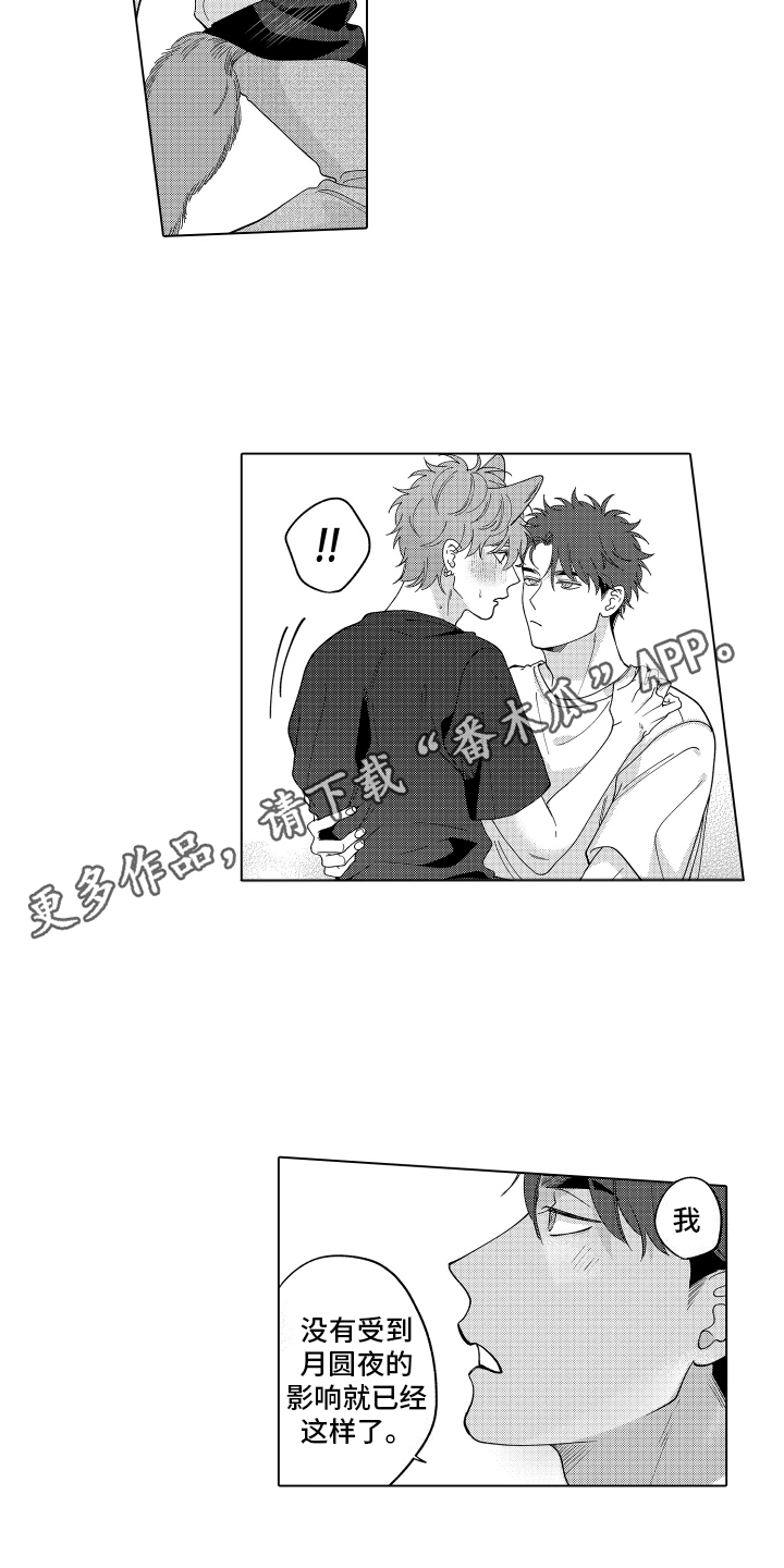 笨狼的故事--在鹳鸟家住三天漫画,第29话1图