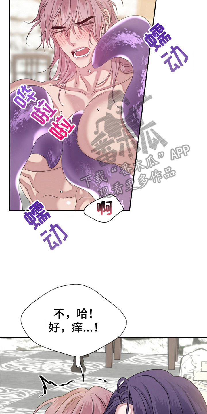 宠物魔术贴背心漫画,第10话1图