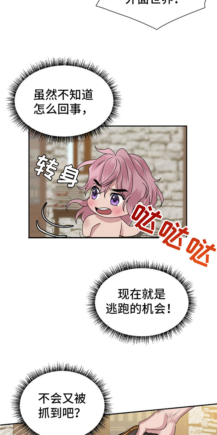 宠物魔方益智玩具漫画,第8话1图