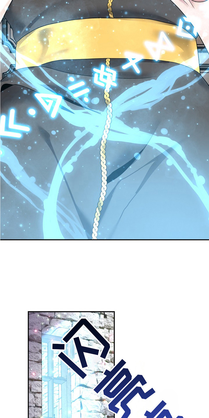 宠物魔术贴背心漫画,第2话2图