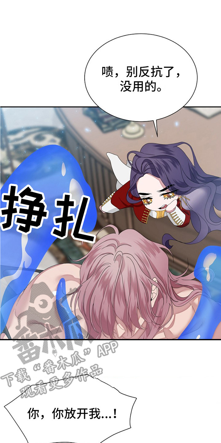 宠物魔方益智玩具漫画,第4话2图
