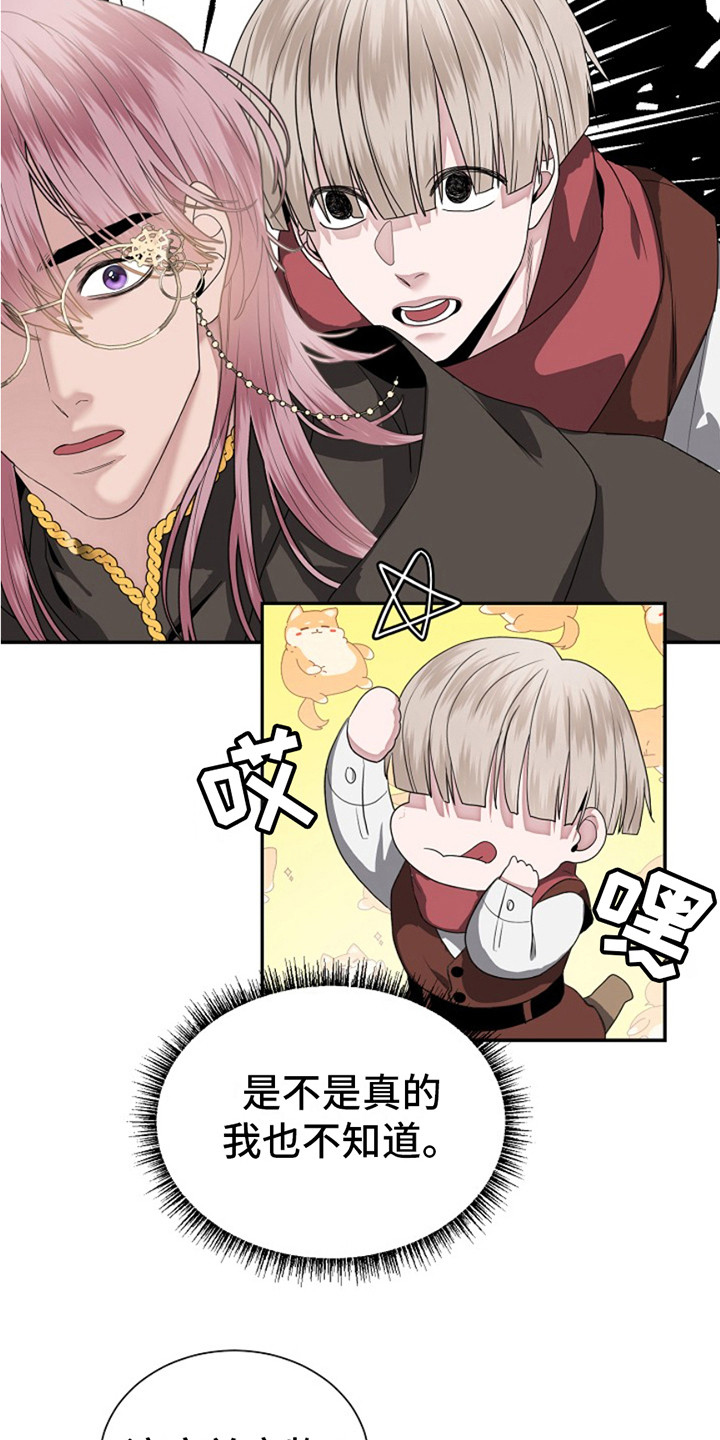 宠物魔方益智玩具漫画,第2话1图