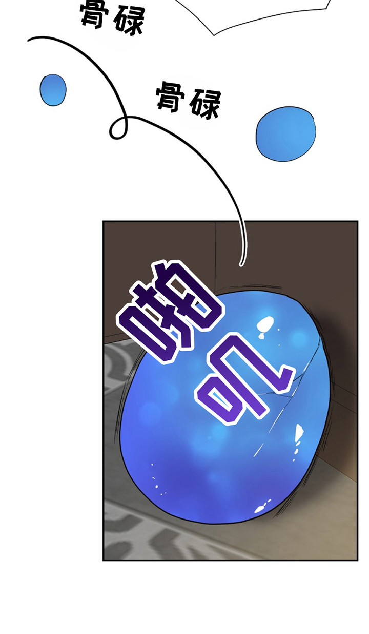 宠物魔术贴背心漫画,第2话1图
