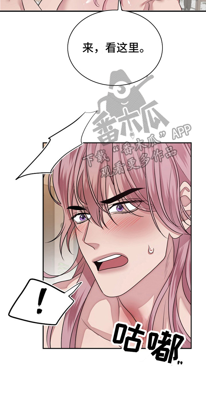 宠物魔术贴背心漫画,第5话1图