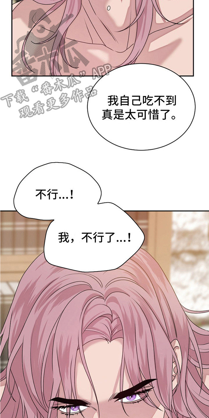 宠物魔方益智玩具漫画,第7话2图