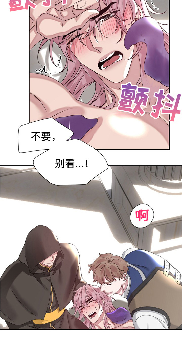 宠物魔法喷雾作用漫画,第9话2图
