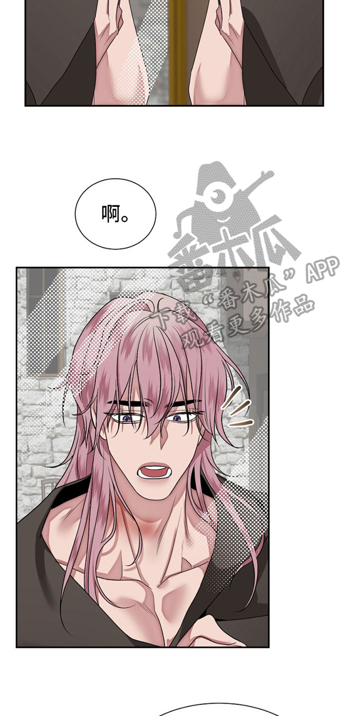 宠物魔术贴背心漫画,第5话2图