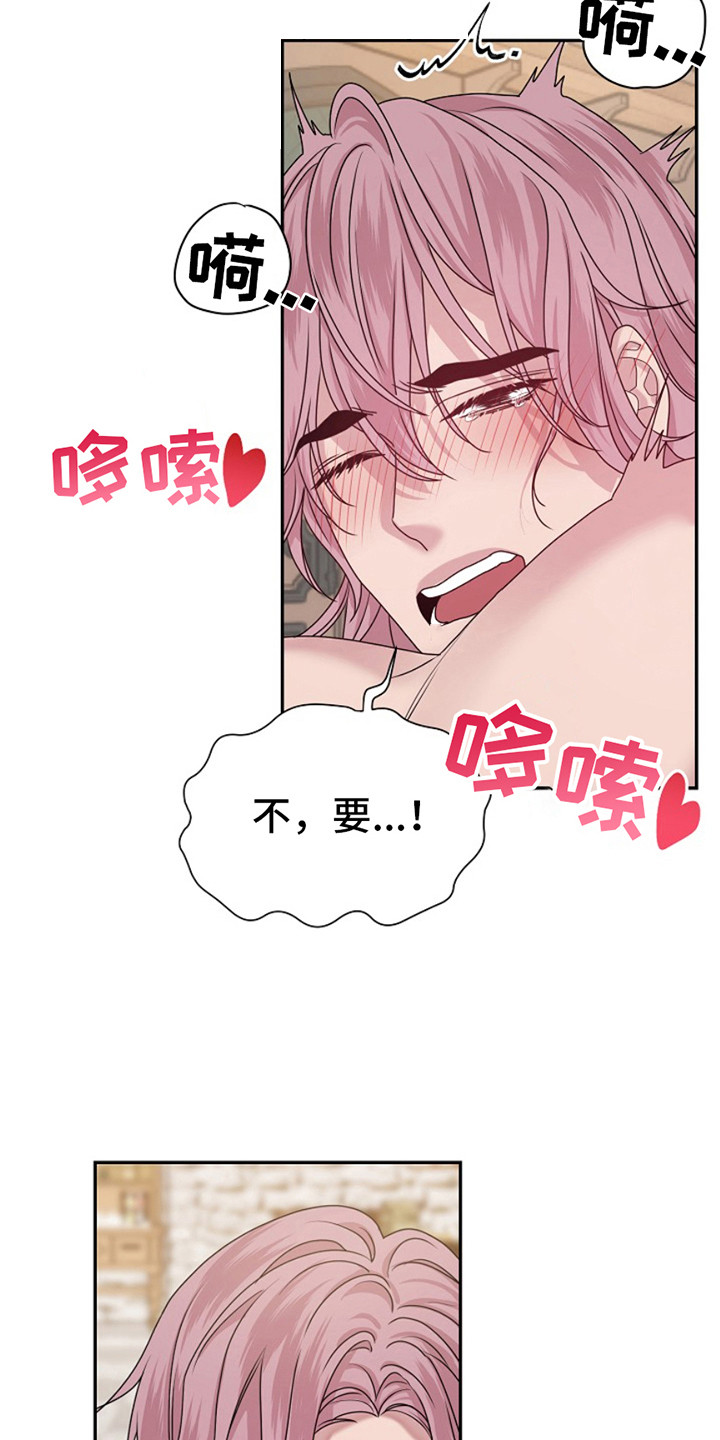 宠物魔法喷雾作用漫画,第6话1图