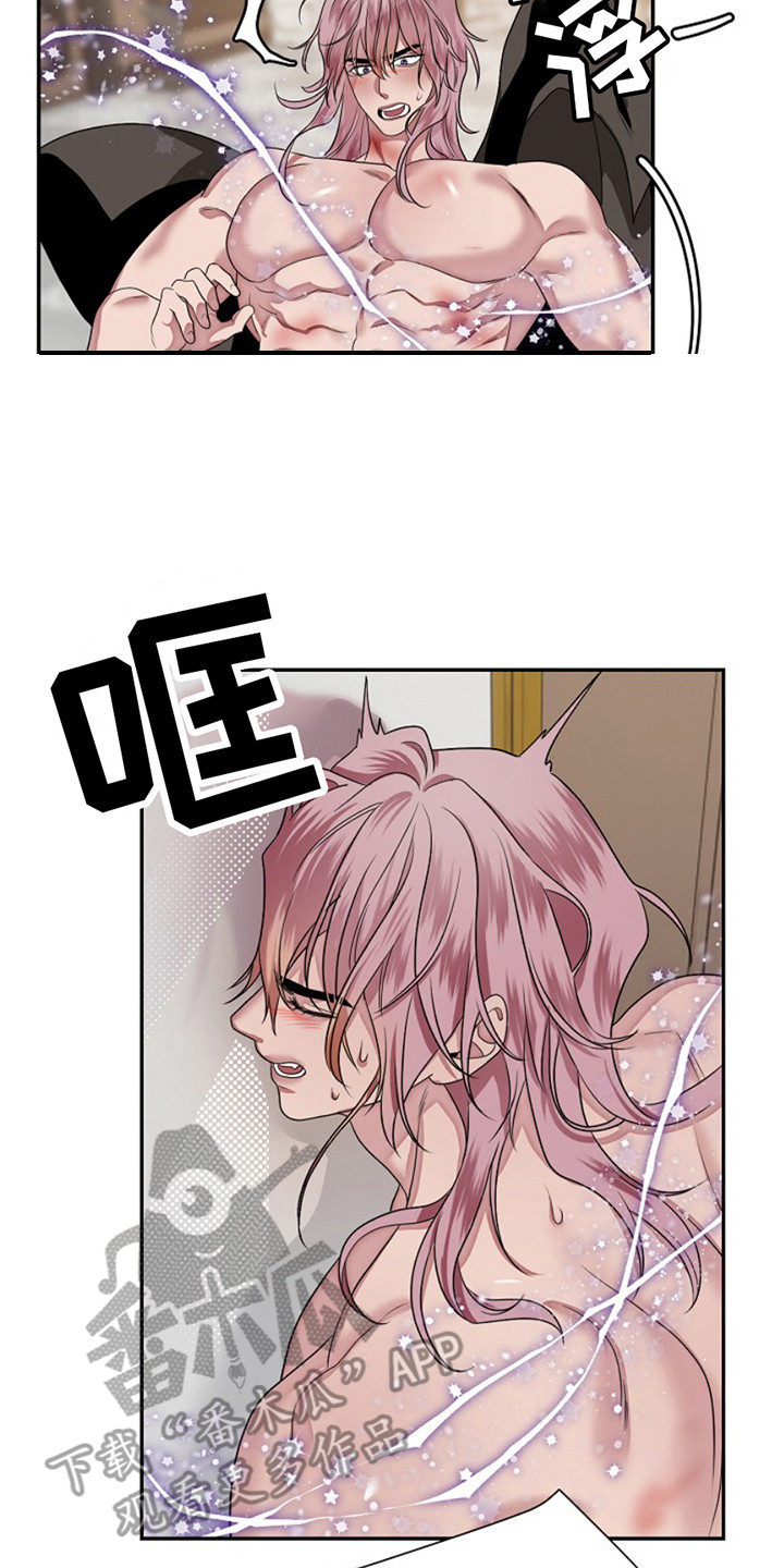 宠物魔术贴背心漫画,第5话2图