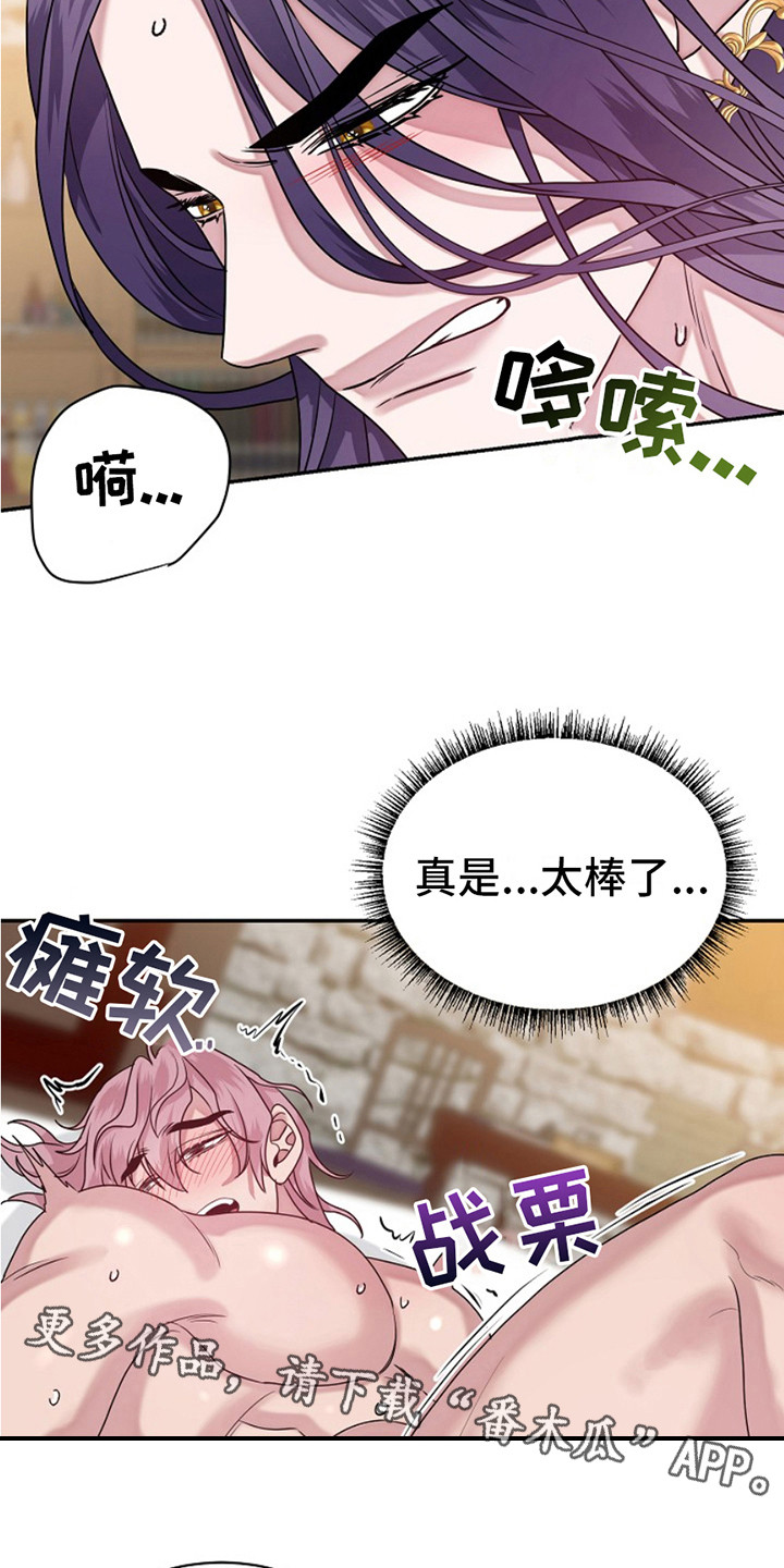 宠物魔方益智玩具漫画,第13话1图