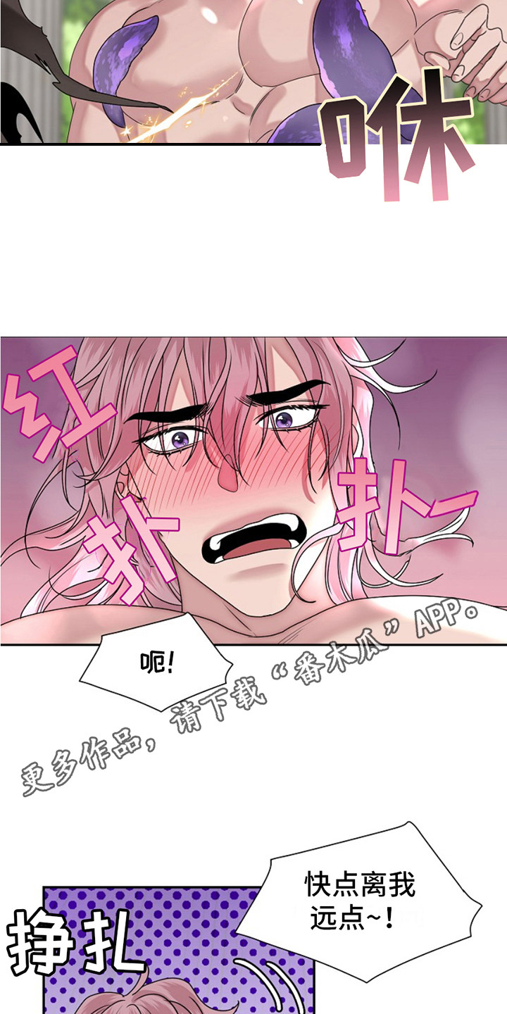 宠物魔术贴背心漫画,第9话1图
