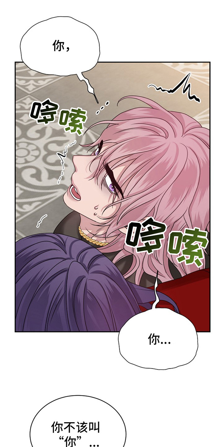 宠物魔方益智玩具漫画,第13话2图