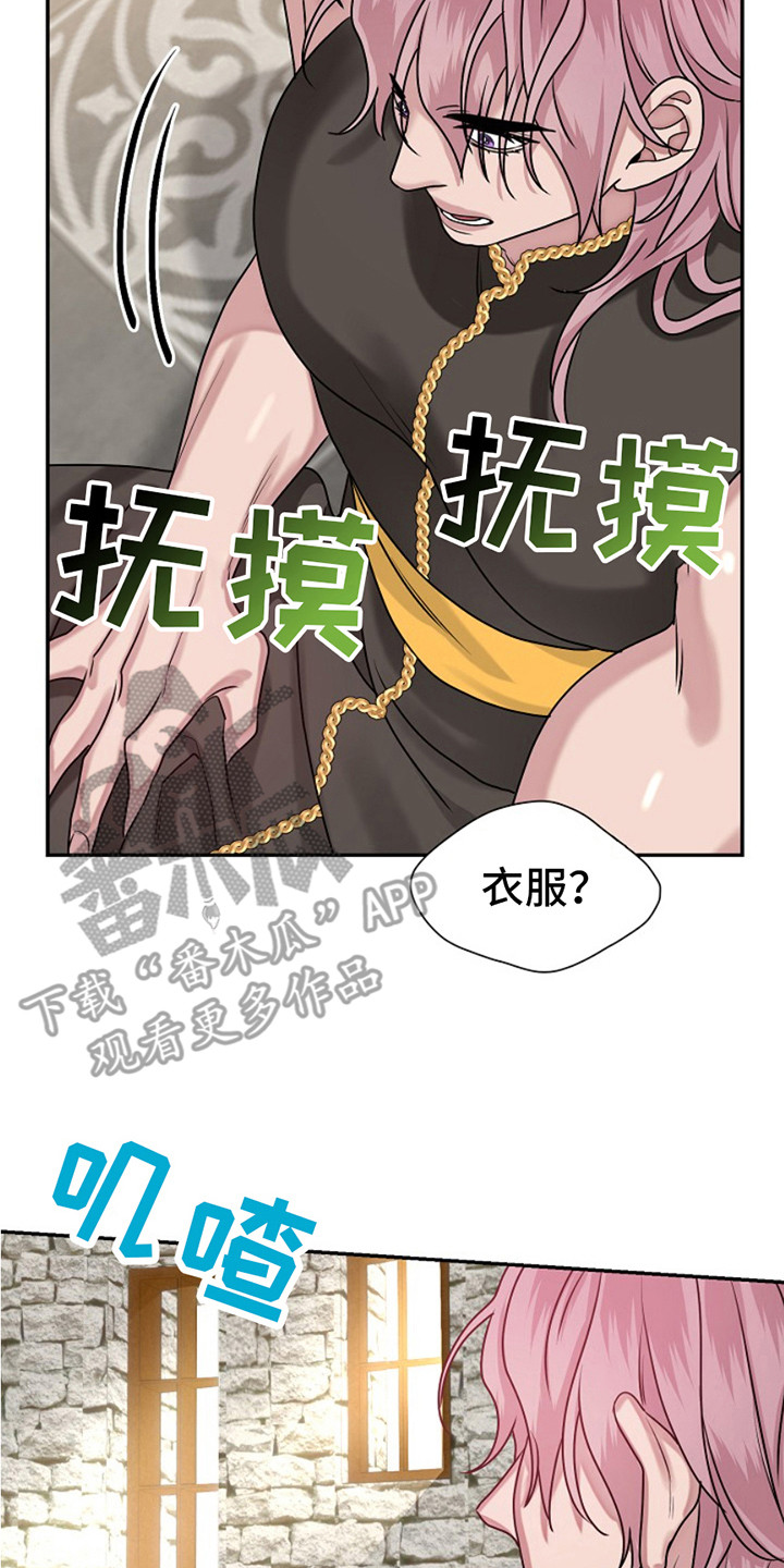 宠物魔方益智玩具漫画,第13话2图
