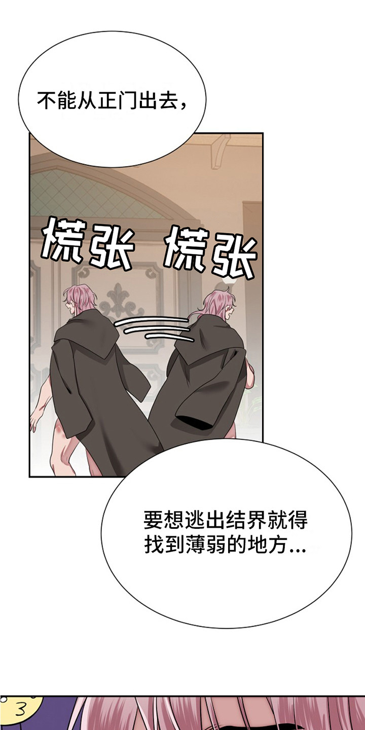 宠物魔方益智玩具漫画,第5话1图