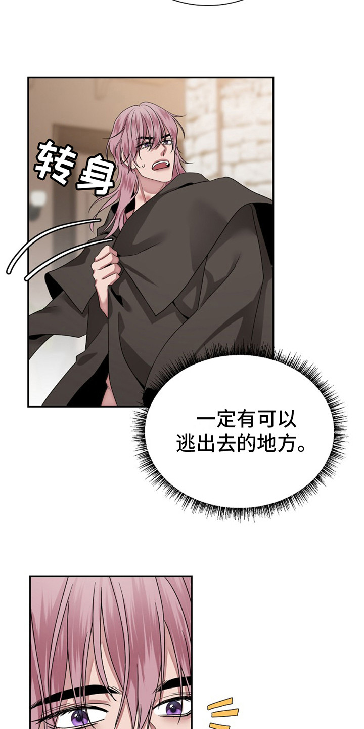 宠物魔方益智玩具漫画,第5话2图
