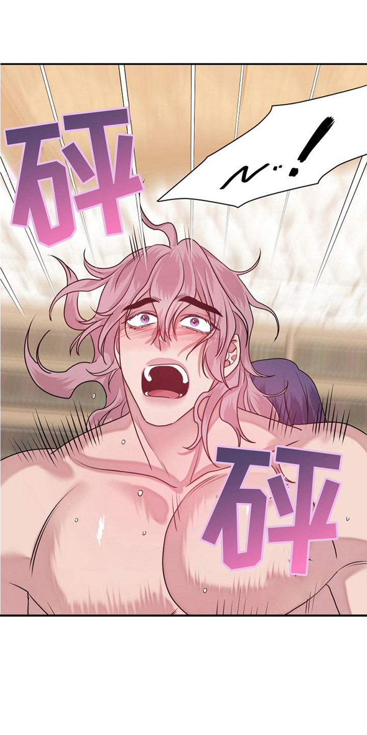 宠物魔术贴背心漫画,第11话2图