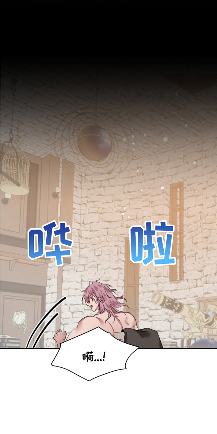 宠物魔方益智玩具漫画,第4话2图