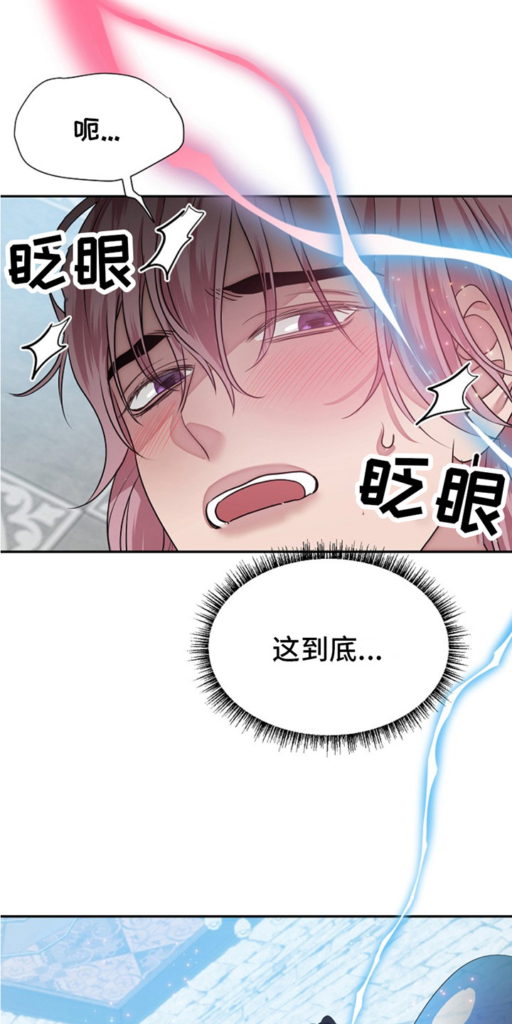 宠物魔方益智玩具漫画,第4话1图