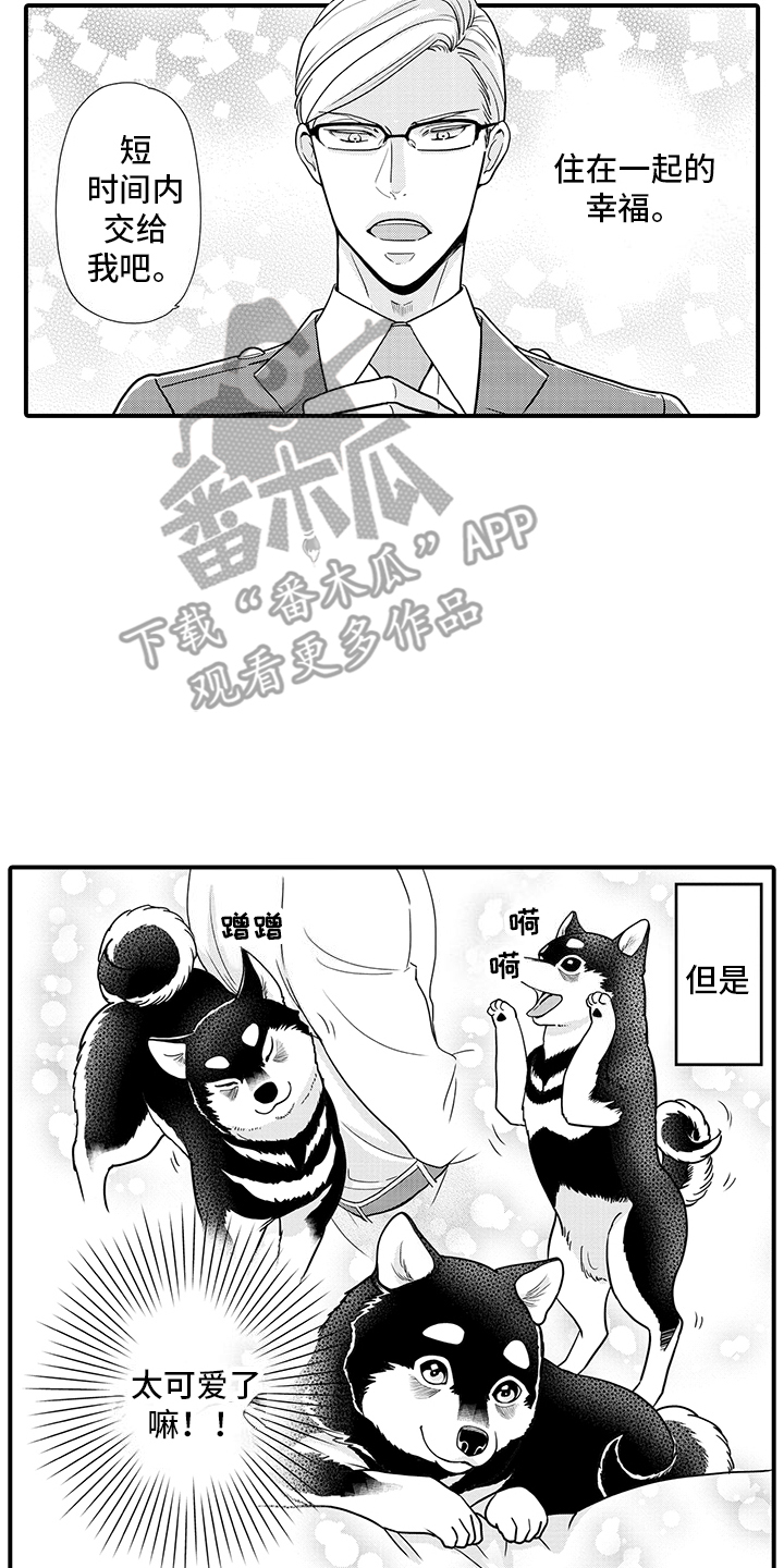 毛茸茸的偏爱漫画,第15话1图