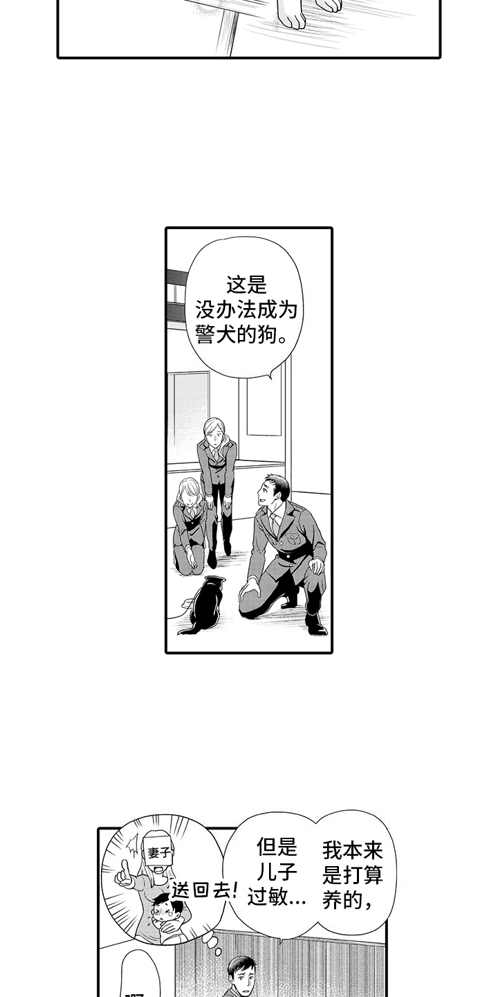 毛茸茸的偏爱漫画,第1话2图