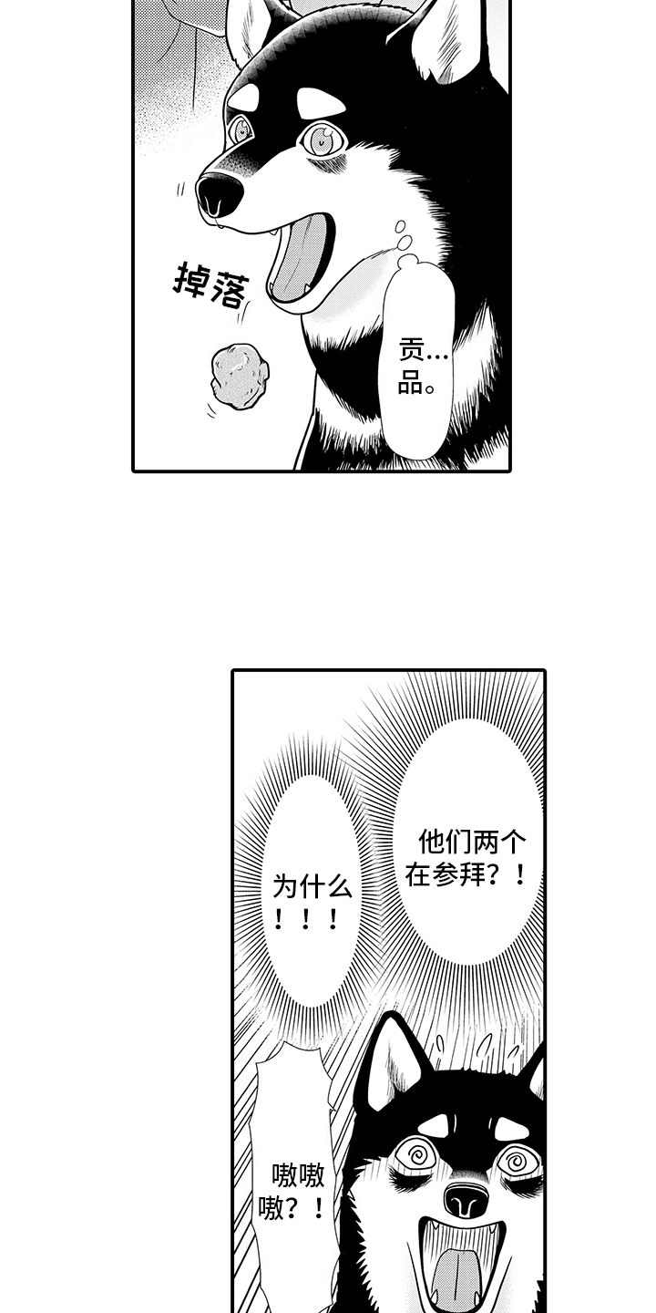 毛茸茸的读音漫画,第13话2图