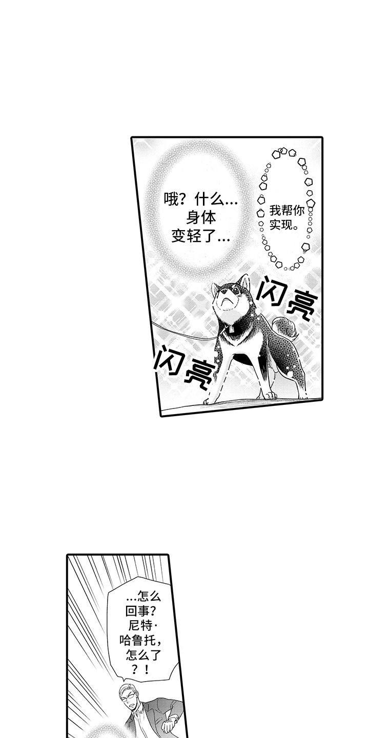 毛茸茸的偏爱漫画,第2话1图