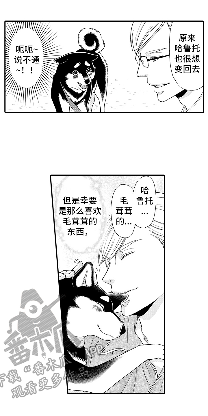 毛茸茸的偏爱漫画,第9话1图