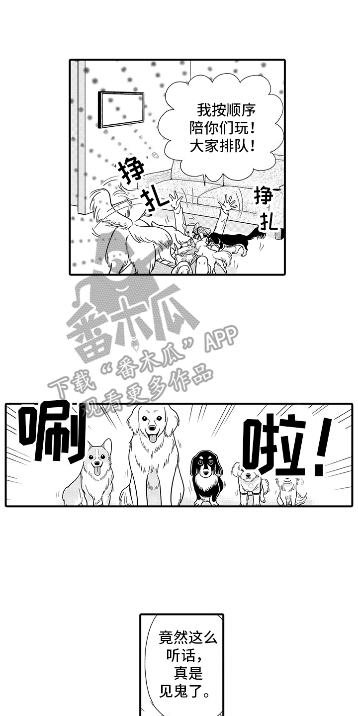 毛茸茸的偏爱漫画,第6话1图