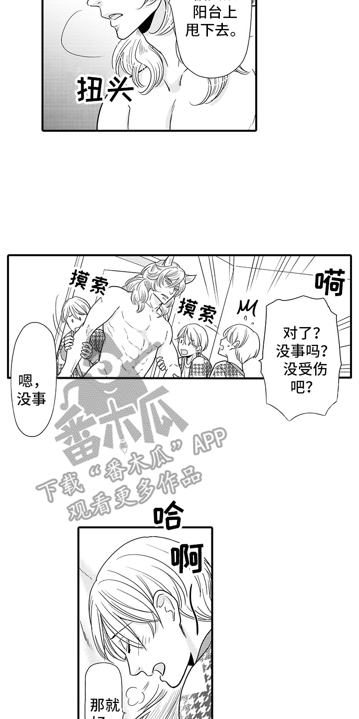 毛茸茸的偏爱漫画,第17话1图