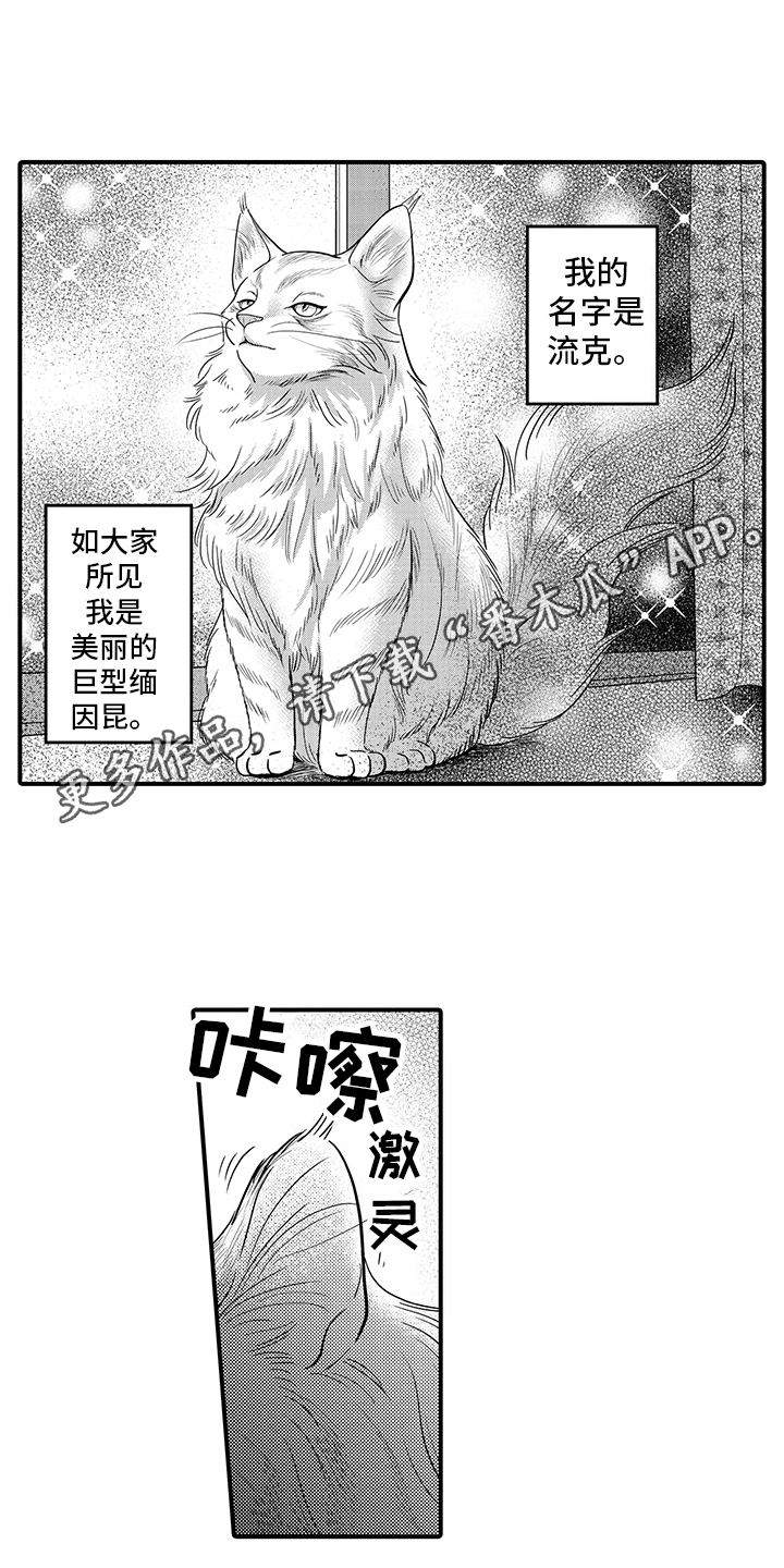 毛茸茸的偏爱漫画,第16话1图